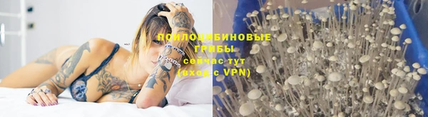 СК Горняк