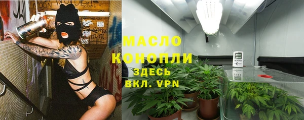 молекула духа Горнозаводск