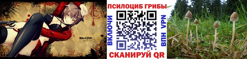 Галлюциногенные грибы Magic Shrooms  Купить где  Переславль-Залесский 