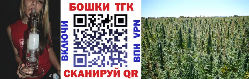 Марихуана план  Купить закладки  Переславль-Залесский 